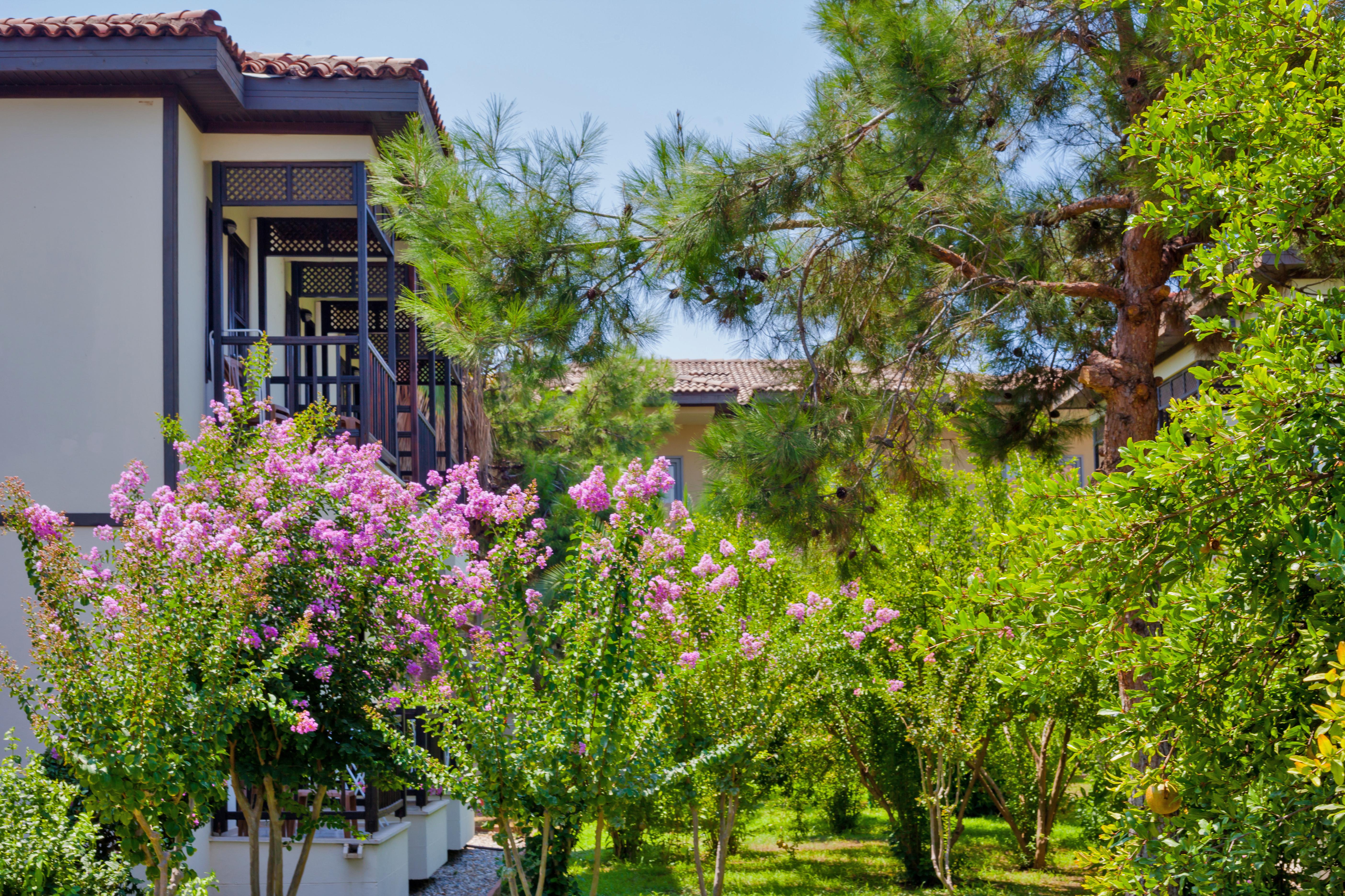 Club Nena Hotel Kizilagac  Exterior photo